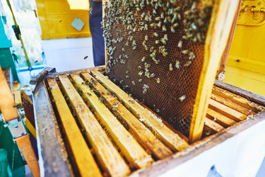 Similar image 22261390