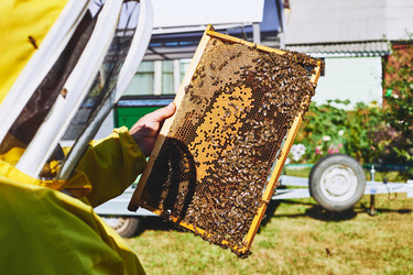 Similar image 22261377