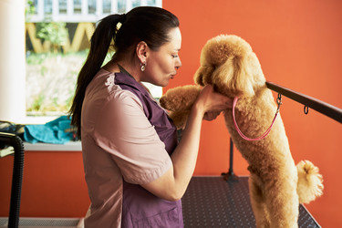 Similar image 22263254