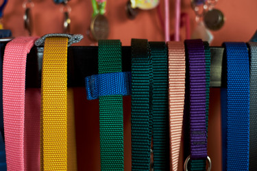 Similar image 22263191