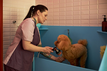 Similar image 22263238