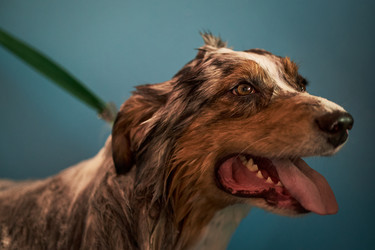 Similar image 22263271