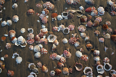 Similar image 22263806