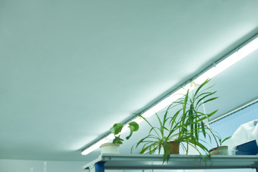 Similar image 22261615