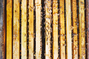 Similar image 22261392