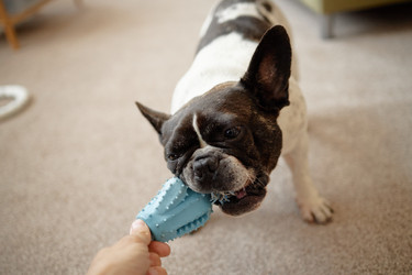 Similar image 22260882