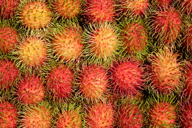 Similar image 22263822