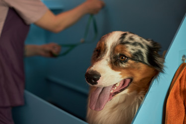 Similar image 22263264