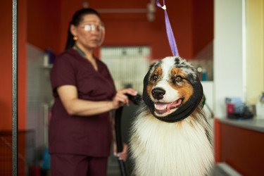 Similar image 22263202