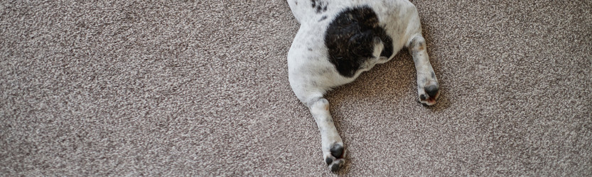 Similar image 22260943