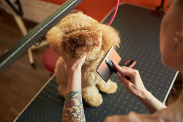 Similar image 22263220