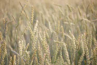 Similar image 22263808