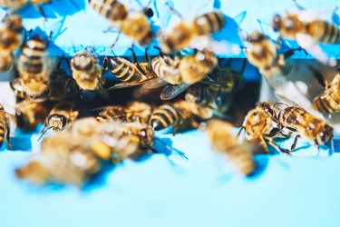 Similar image 22261354