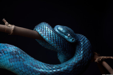 Similar image 22265690