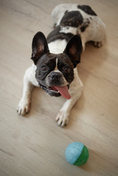 Similar image 22260879