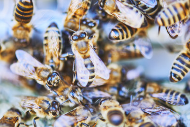 Similar image 22261399