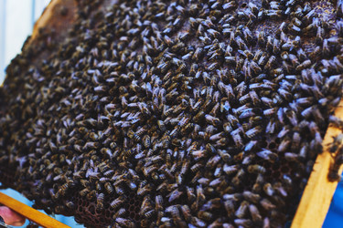 Similar image 22261387