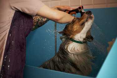 Similar image 22263269