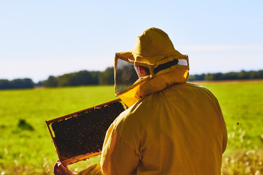 Similar image 22261382