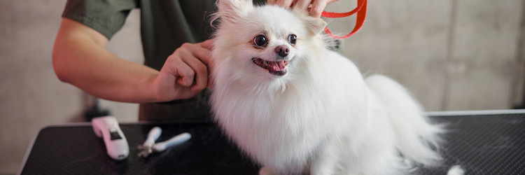 Similar image 22260737