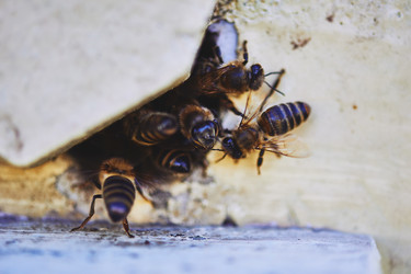 Similar image 22261397