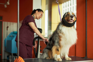 Similar image 22263204