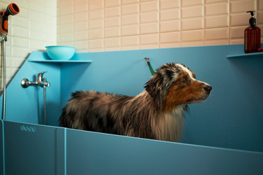 Similar image 22263276