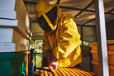 Similar image 22261415