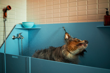 Similar image 22263275