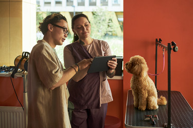 Similar image 22263233