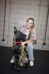 Similar image 22260782