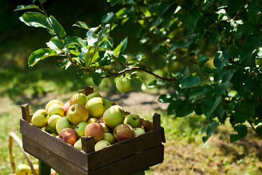 Similar image 22262473