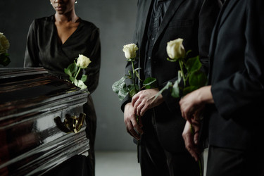 Similar image 22264303