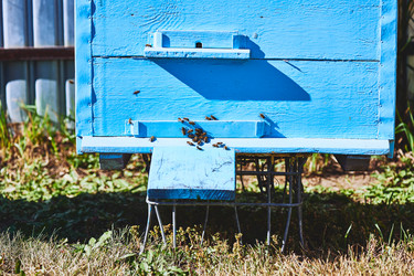 Similar image 22261349