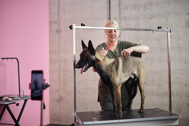 Similar image 22260767