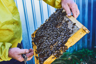 Similar image 22261385