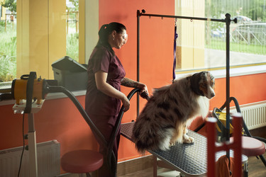 Similar image 22263206