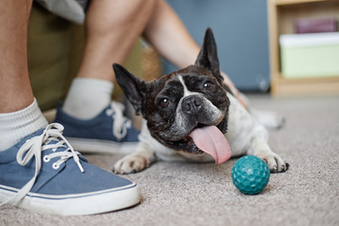 Similar image 22260909