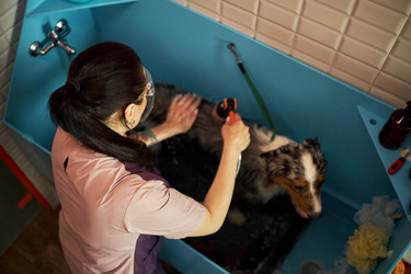 Similar image 22263274