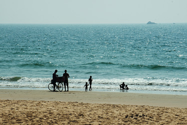 Similar image 22263953