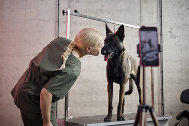 Similar image 22260768