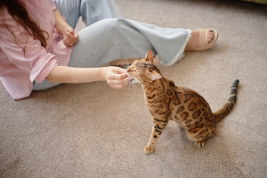 Similar image 22260931