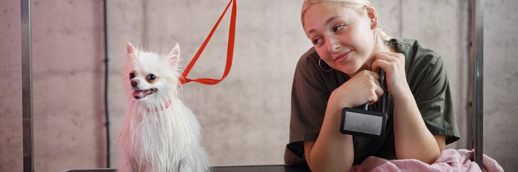 Similar image 22260739