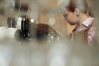 Similar image 22263565