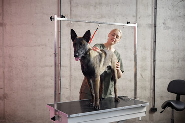 Similar image 22260762