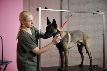 Similar image 22260764