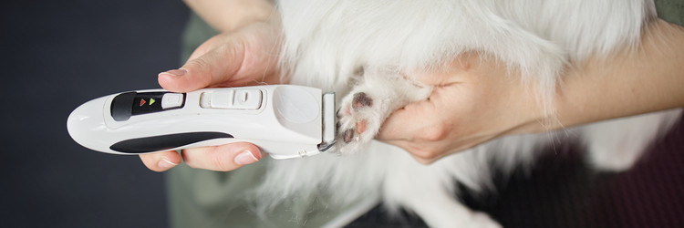 Similar image 22260738