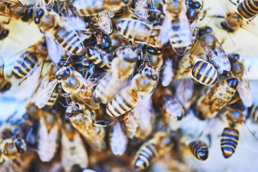 Similar image 22261395