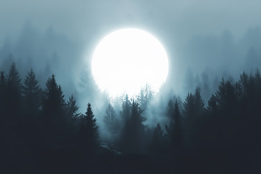 Similar image 22265517