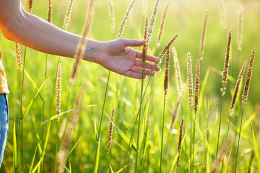 Similar image 22265226